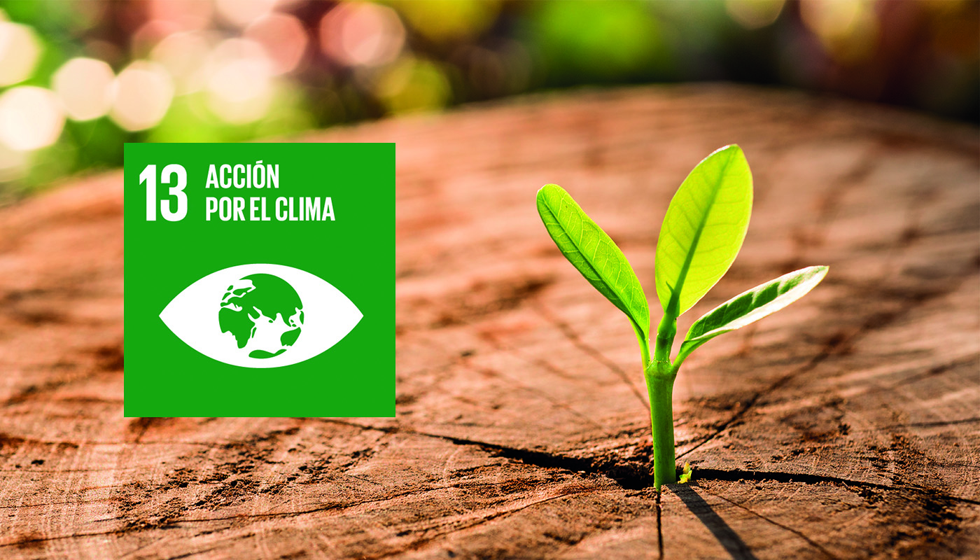 Medioambiente, el ámbito de la sostenibilidad más trabajado por el sector privado en nuestro país