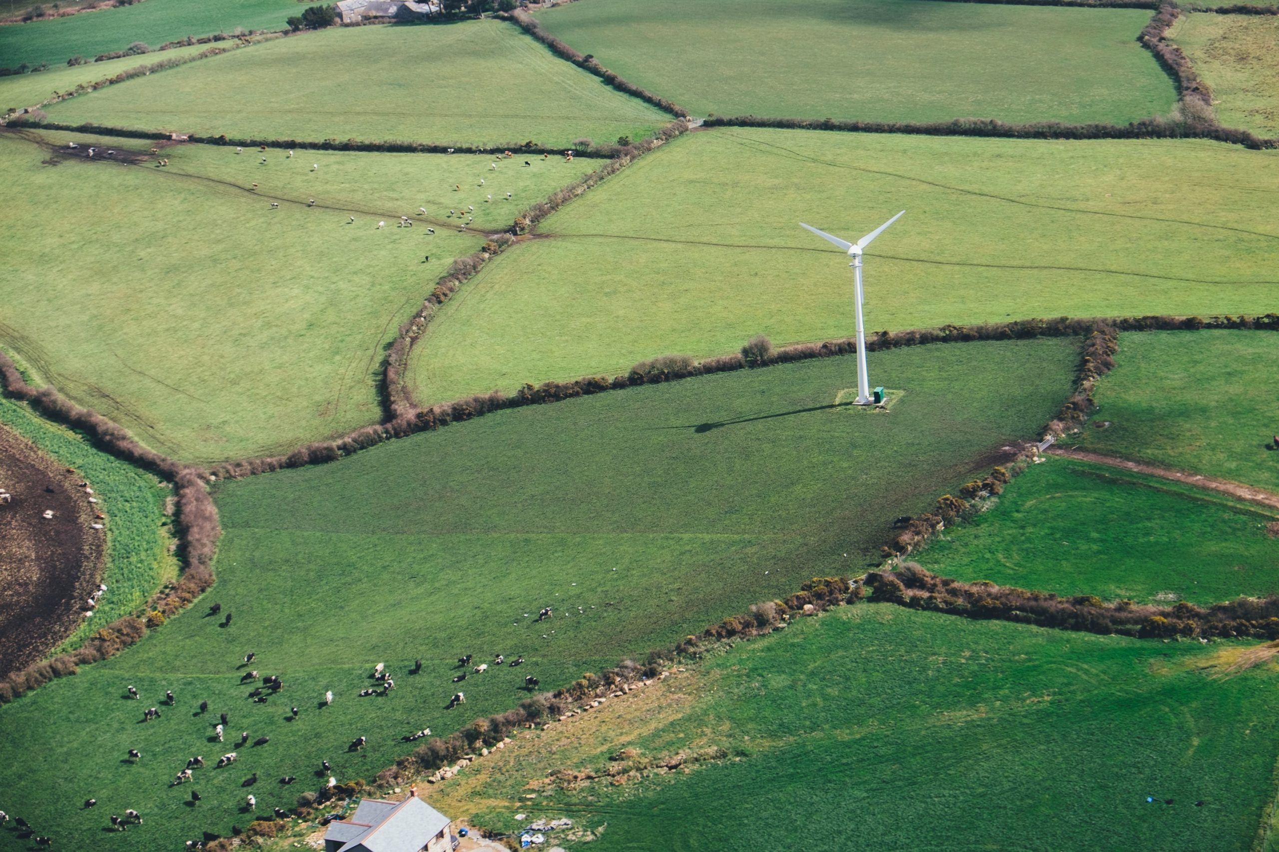 Las empresas españolas del Pacto Mundial vuelcan sus esfuerzos en el área medioambiental