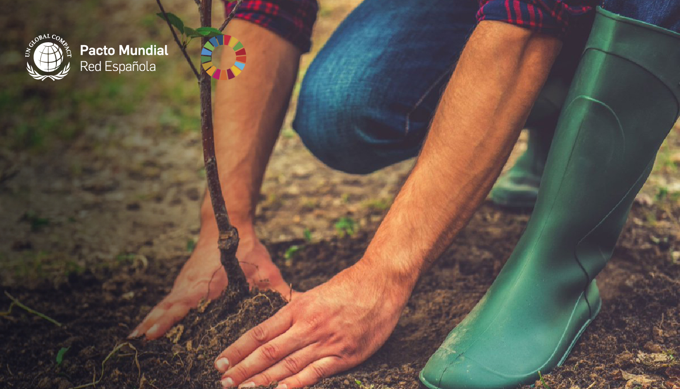 PorElClima - Plantamos 150 árboles, uno por cada nuevo socio en 2020 ·  Pacto Mundial