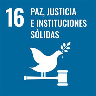16 Paz,  justicia e instituciones sólidas 3