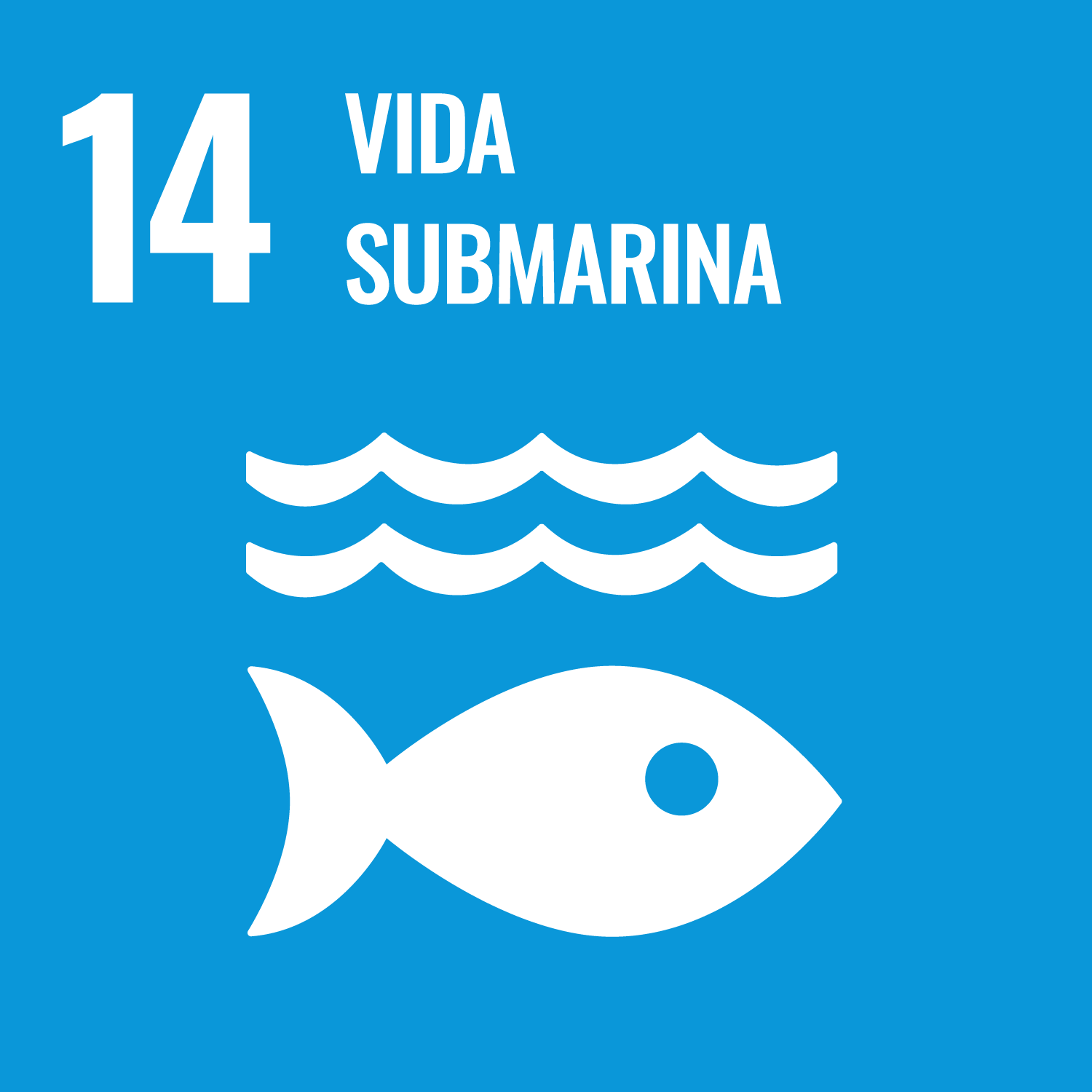 Objetivo de Desarrollo Sostenible 15 ODS 14 Vida submarina