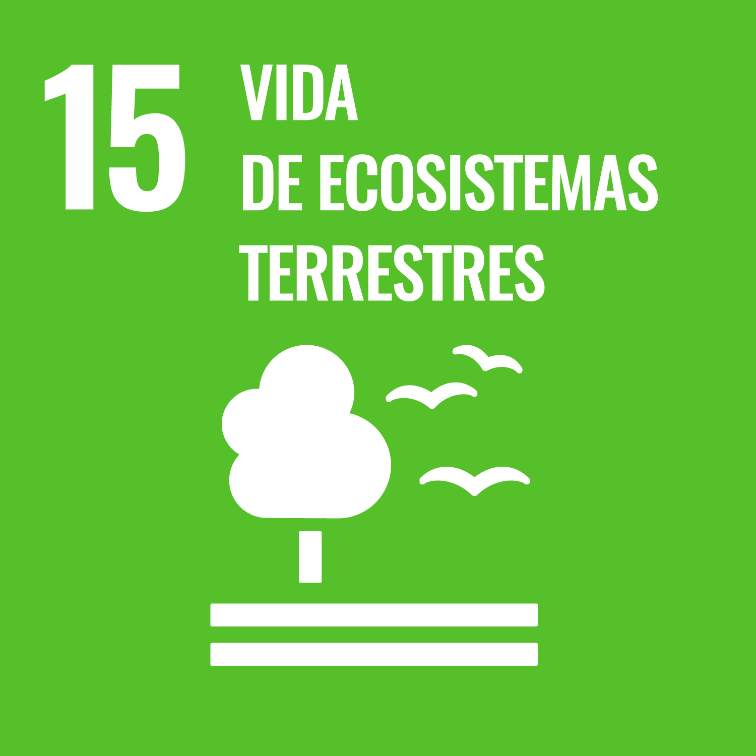 ODS 15 Objetivo de Desarrollo Sostenible Vida de ecosistemas terrestres