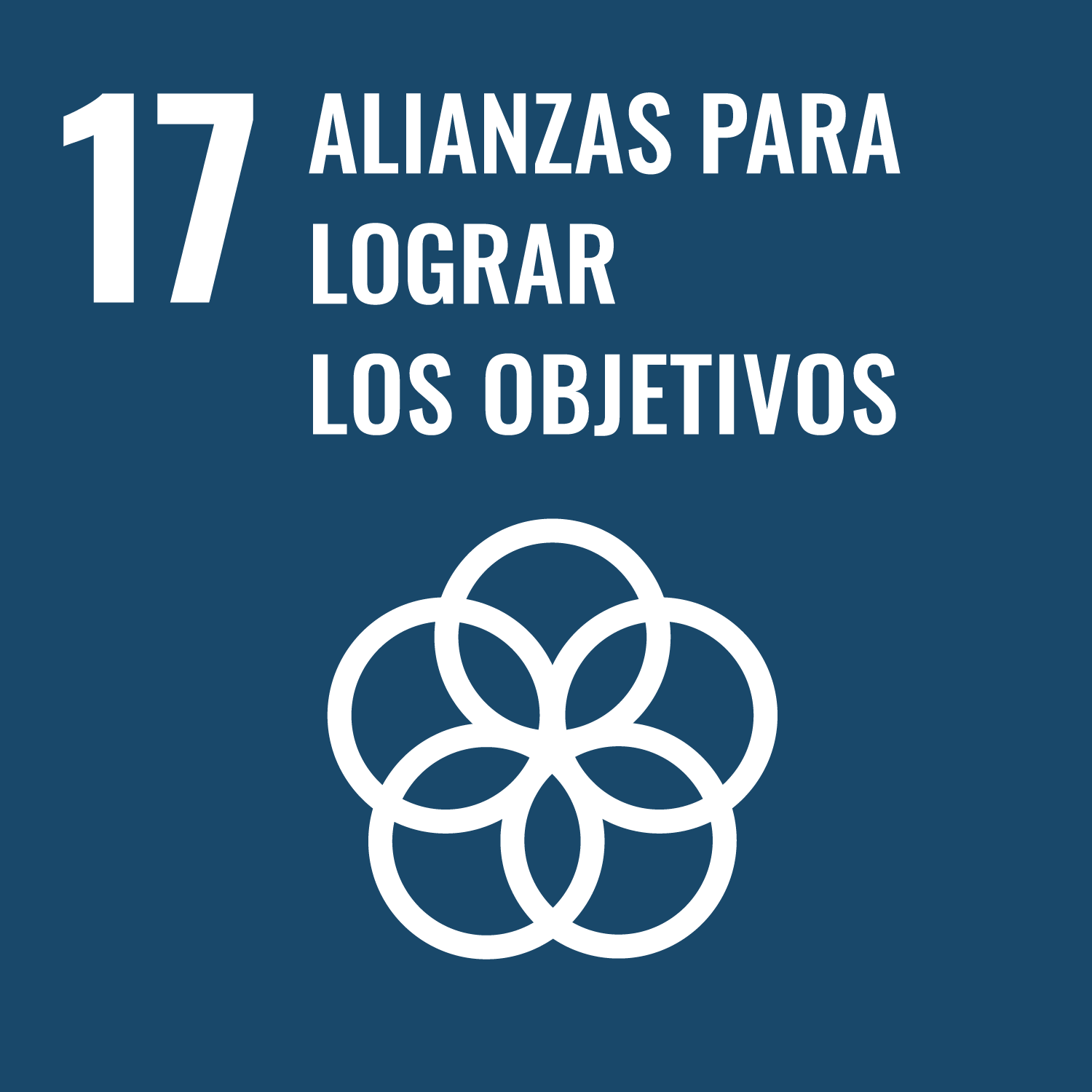 Objetivo de Desarrrollo Sostenible 17, ODS 17, Alianzas para lograr los Objetivos