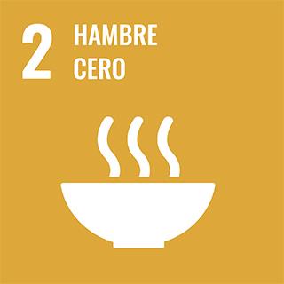 Icono Símbolo ODS 2 Objetivos de Desarrollo Humano 2 Hambre cero ONU