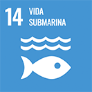 Objetivo de Desarrollo Sostenible 15 ODS 14 Vida submarina