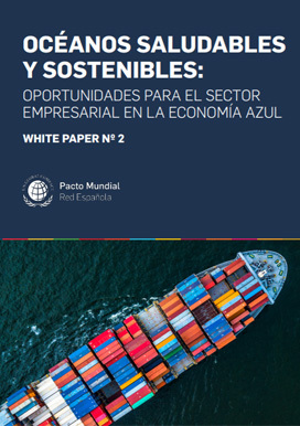 White paper nº 2 – Océanos saludables y sostenibles: oportunidades para el sector empresarial en la economía azul