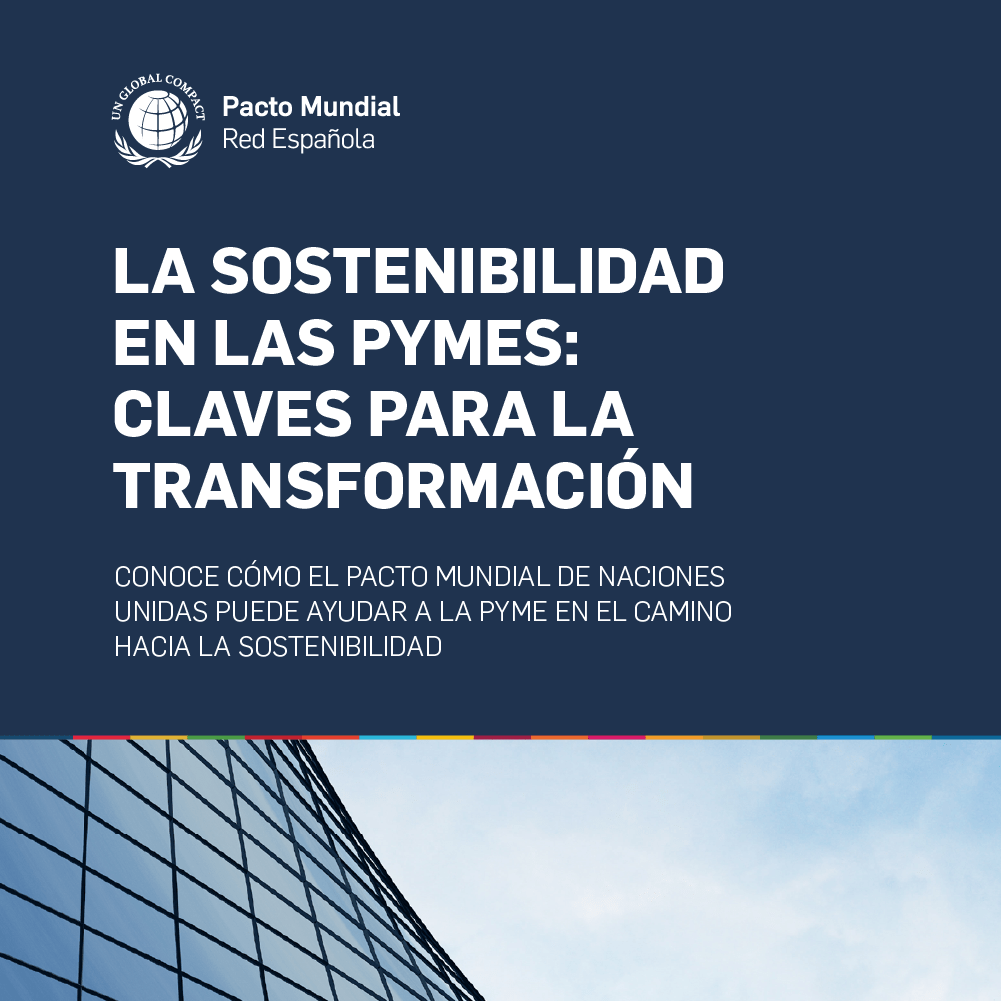 La sostenibilidad en las pymes: claves para la transformación.