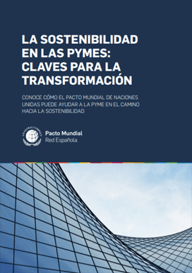 La sostenibilidad en las pymes: claves para la transformación.