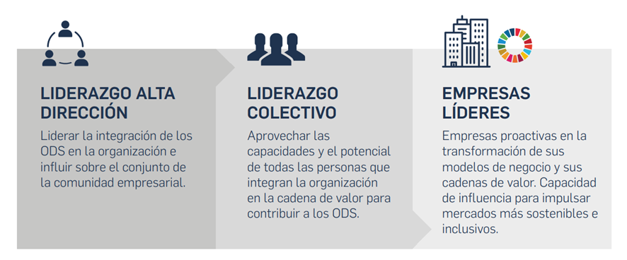 Activismo corporartivo, del liderazgo de alta dirección, pasando por el liderazgo colectivo finalizando en empresas líderes de la sostenibilidad empresarial.