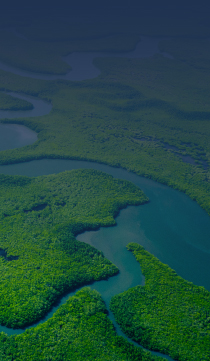 Pacto Mundial de la ONU - Sostenibilidad empresarial. Anuario climático. Estudio de las empresas españolas y cambio climático