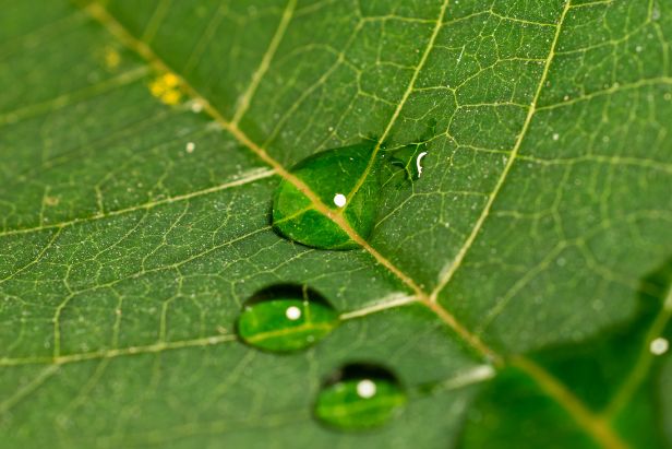Huella de carbono - Asamblea General Ordinaria 2024