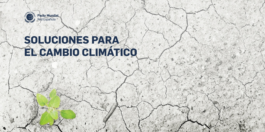 Soluciones para el cambio climático | Pacto Mundial ONU España
