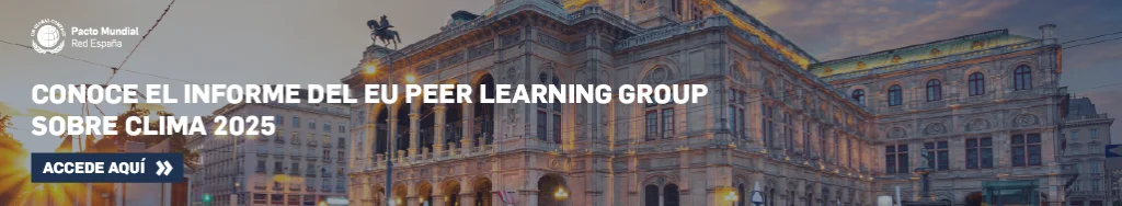 EU PEER LEARNING GROUP