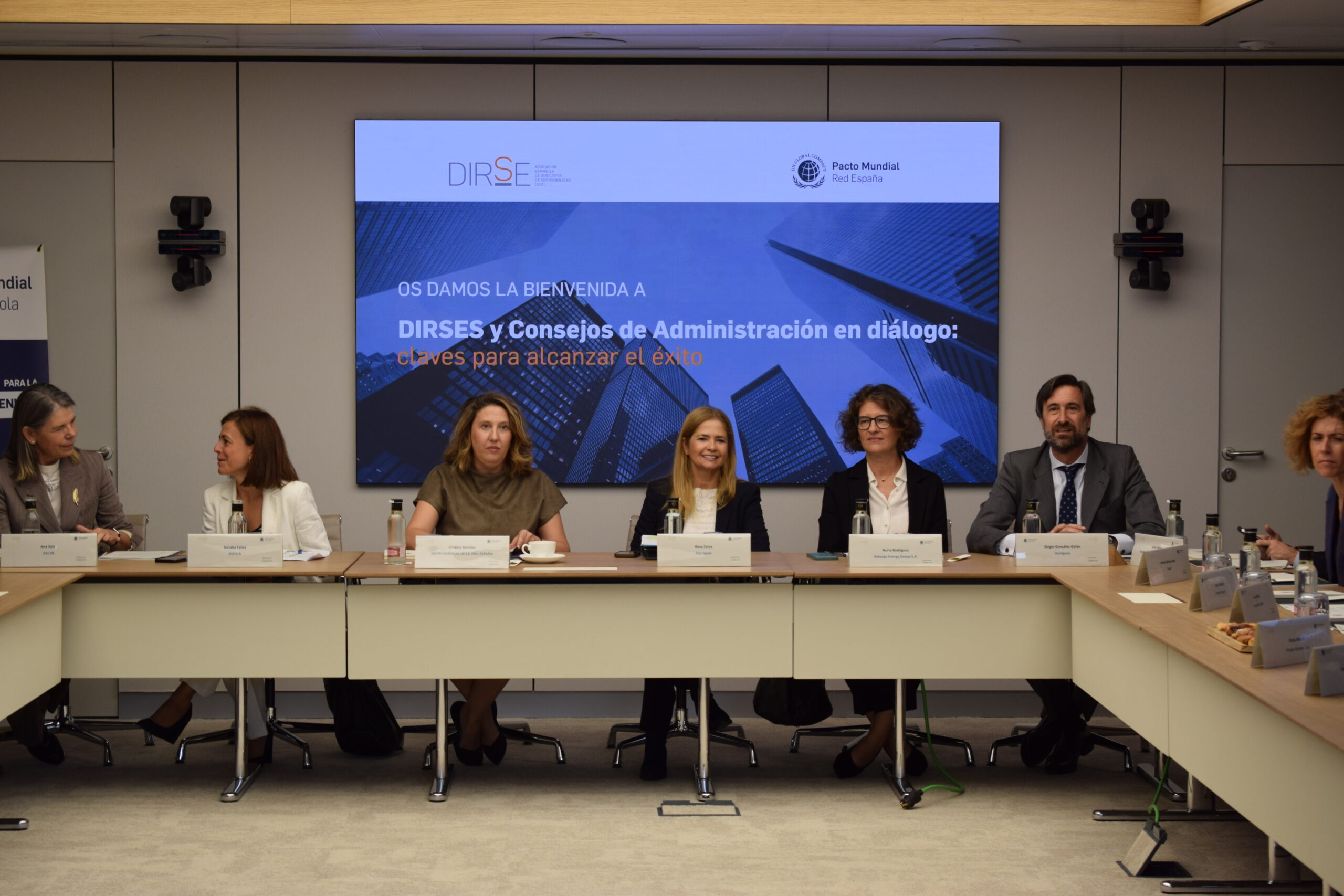 Cómo DIRSEs y Consejos de Administración pueden impulsar la sostenibilidad