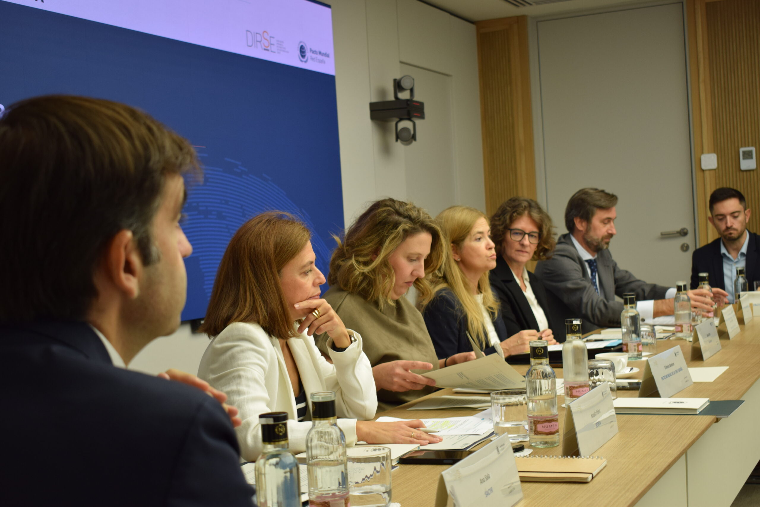 Cómo DIRSEs y Consejos de Administración pueden impulsar la sostenibilidad