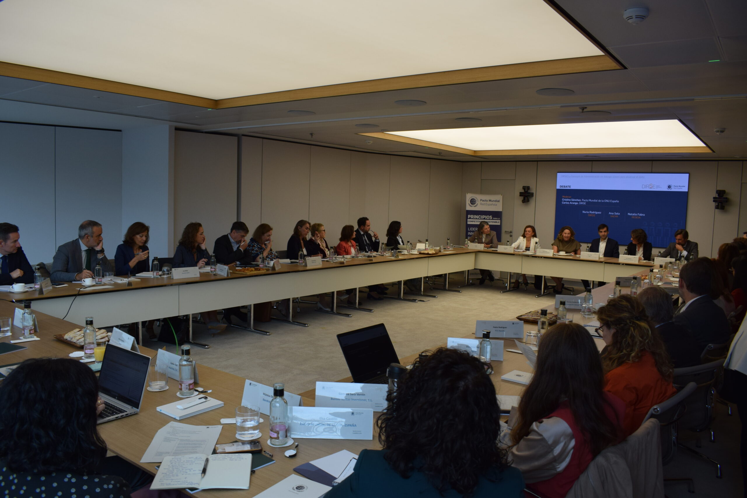 Cómo DIRSEs y Consejos de Administración pueden impulsar la sostenibilidad