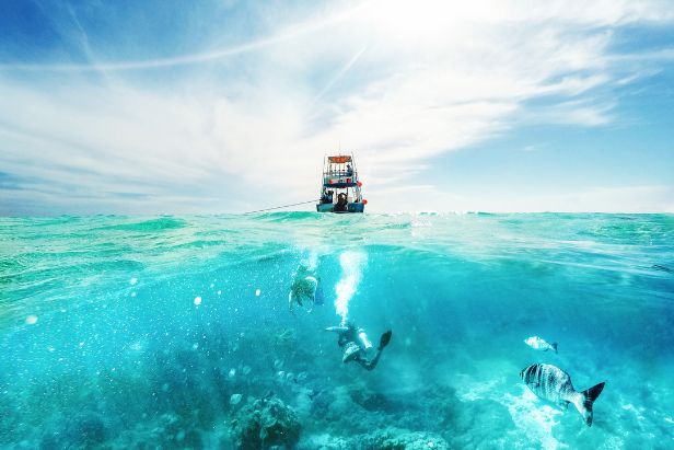 Naturaleza positiva: del compromiso a la competitividad empresarial - I Encuentro Empresas y Capital Natural – Hacia un Futuro Sostenible - Palma de Mallorca