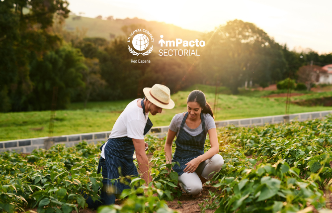 Impulsamos la transformación de la industria agroalimentaria con el proyecto ImPacto Sectorial