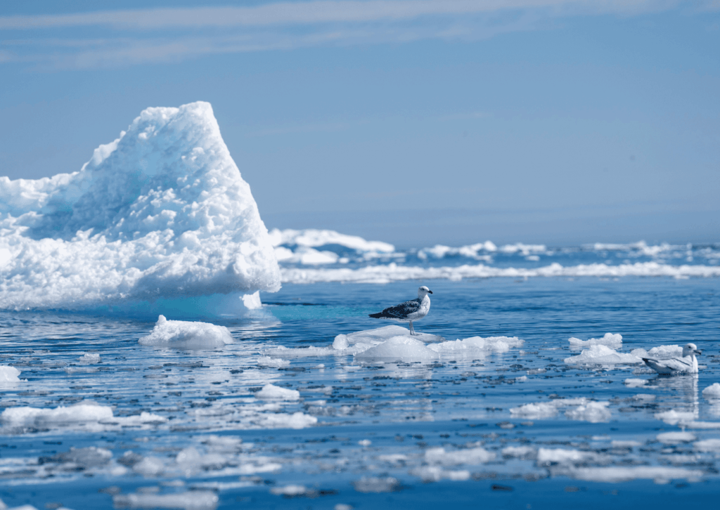 Crisis climática