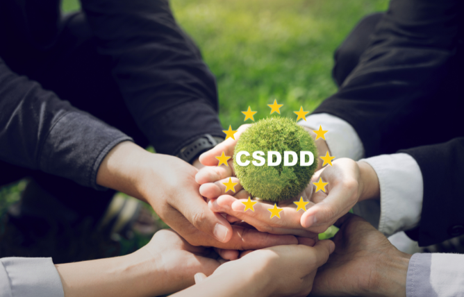 ¿Qué es la diligencia debida en sostenibilidad empresarial y cómo aplicarla?